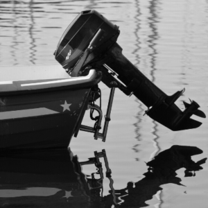 Picture of Theo Noir